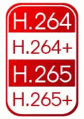 H 264 + ,H 265 + 